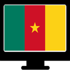 TV Cameroun أيقونة