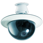Viewer for X10 IP cameras آئیکن