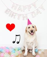 🎂 Músicas de Feliz Aniversário com vídeos bonitos Ekran Görüntüsü 1