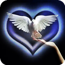 Evangelical Songs APK