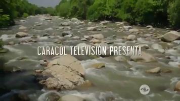 Canales Tv Colombia capture d'écran 2