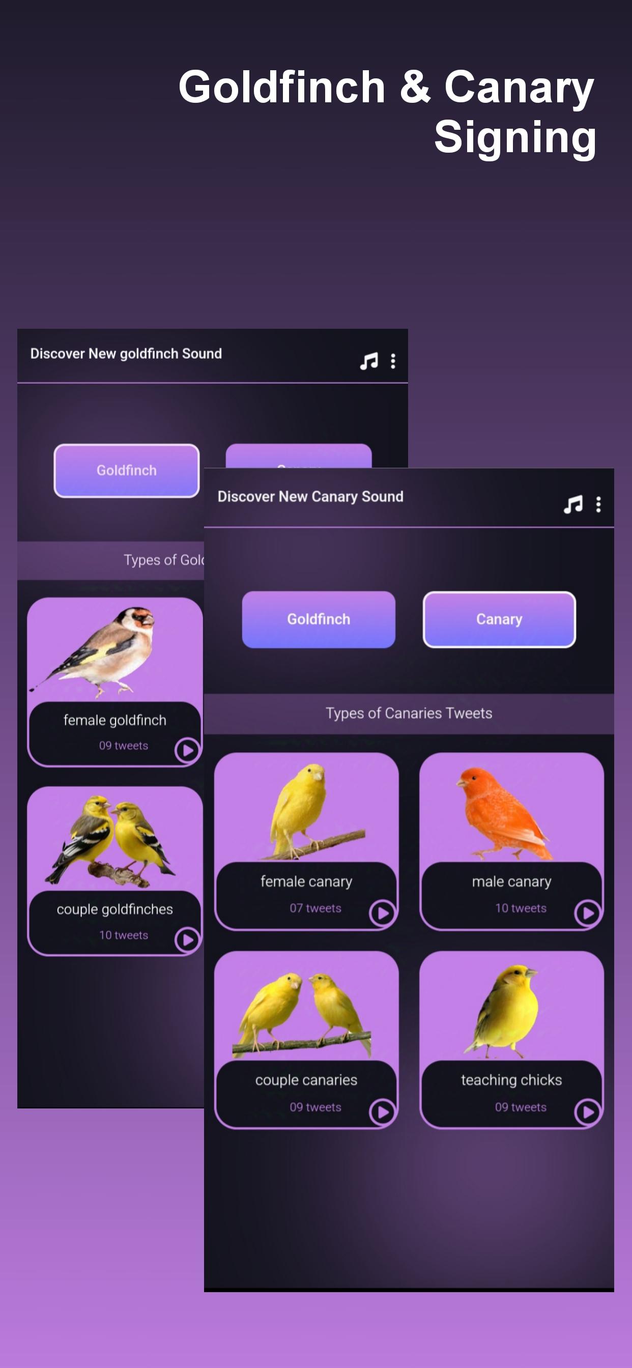 Android canary Android canary