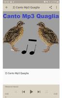 Canto Mp3 Quaglia 海報