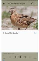 Canto Mp3 Quaglia 截圖 1