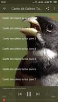 Canto De Papa Capim اسکرین شاٹ 3