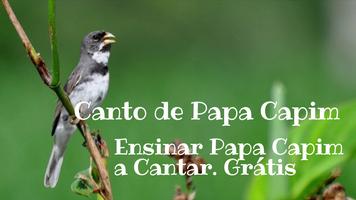 Canto De Papa Capim پوسٹر