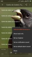 Canto De Papa Capim اسکرین شاٹ 1