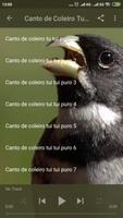Canto De Papa Capim اسکرین شاٹ 2