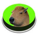 Capibara Canción | Meme-APK