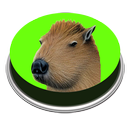Capibara Canción | Meme APK