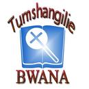 Tumshangilie Bwana APK