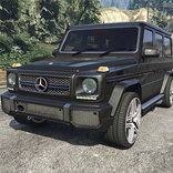 Offroad Mercedes G Car Driver