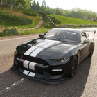 Simulator Mustang Driving Car icon