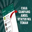 Cara Mengambil Status WA APK