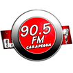 CARAPEGUÁ FM