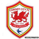 Cardiff Fixed Draws APK