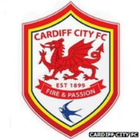 Cardiff Fixed Draws icône