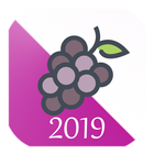Uvas de año nuevo biểu tượng