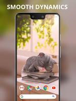 Cartoon cute grey cat sleeping live wallpaper screenshot 1