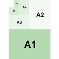Carta