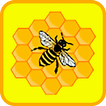 HoneyGain App Android Tips