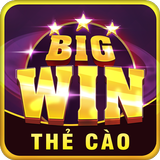 BigWin 图标