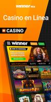 Winner Casino captura de pantalla 1