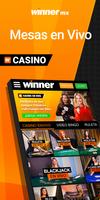 Winner Casino capture d'écran 3