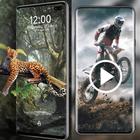 1000+ Video Live Wallpaper أيقونة