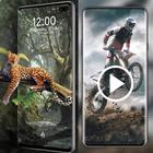 1000+ Video Live Wallpaper-icoon