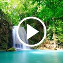 Waterfall Video Wallpapers APK