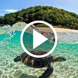 Ocean Video Wallpaper