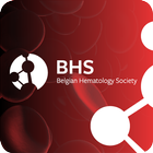 BHS icône