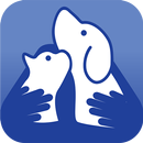 WSAVA 2023 APK