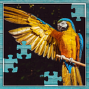 Jigsaw Puzzle: Classic APK