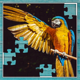 Jigsaw Puzzle: Classic icône