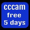 cccam free for 5 days APK