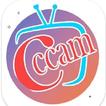 cccam server uk