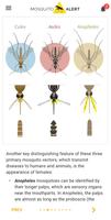 Mosquito Alert Screenshot 3