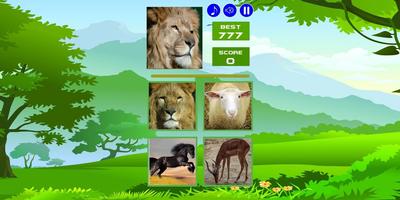 1 Schermata LEL Animal
