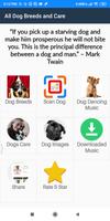 Dog Breeds poster