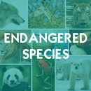 Endangered Species APK