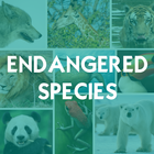 Endangered Species icône