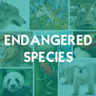 Endangered Species 圖標