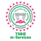 TSBIE m-Services 图标