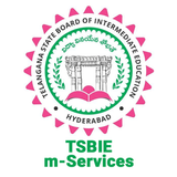 TSBIE m-Services icône