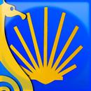 APK Camino de Santiago, Aragonés