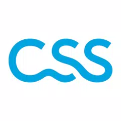 myCSS XAPK download