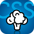 CSS EisenCoach