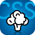 CSS EisenCoach 아이콘